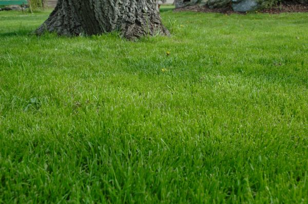 Slidell Lawn Treatment